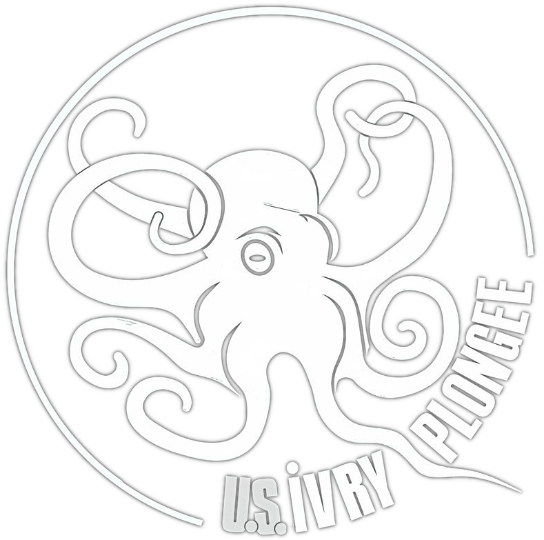 Logo USI-Plongée
